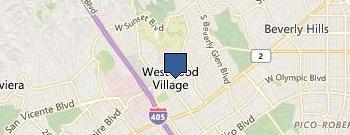 Vip Nation Inc location map