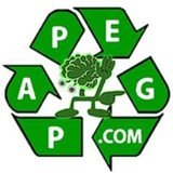Papeg - Optometrists in Los Angeles