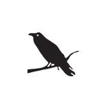 Raven Spa - Massage Therapy in Los Angeles