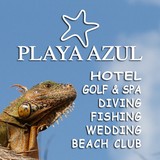 Playa Azul - Other in Wilmington