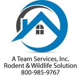 A Team Rodent, Wildlife Control and Attic Clean Up Service - Pest Control in Los Angeles