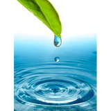 Golden Wellness Center - Acupuncture in Los Angeles