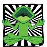 Laughing Frog Yoga - Yoga in Los Angeles