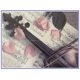 Robert Cauer Violins - Musical Instruments & Services in Los Angeles
