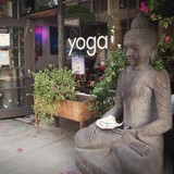 Peace Yoga Gallery - Yoga in Los Angeles