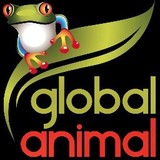 Global Animal - Veterinarians/Vets in Santa Monica