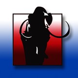 Mammoth Technologies - Wholesale in Lawndale