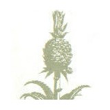 Urban Florist - Florists in Los Angeles