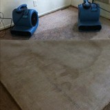 Carpet Hero - Carpet Cleaning in Los Angeles