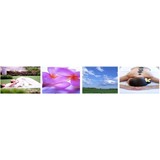 Revive Thai Spa LLC - Other in Hermosa Beach
