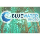 Bluewater Photo - Photography Stores & Services in Santa Monica