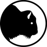 Buffalo 8 Productions - Video/Film Production in Beverly Hills