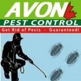 AvonPestControl - Pest Control in Los Angeles