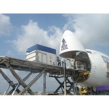 Flying Horse Airport Service - Pet Services in Arcadia