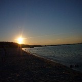 Reels on Wheels Unlimited - Couriers & Delivery Services in Los Angeles