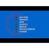 Pest Control Toronto Crew - Pest Control in Beverly Hills