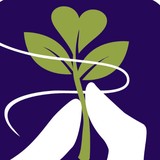 Pinson Letitia PhD - Psychologist & Counsellor in Los Angeles