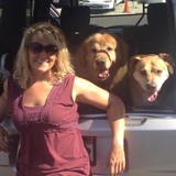 Acme Pet Care - Pet Services in Los Angeles