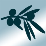 Olive Tree Apartments - Apartments in Norwalk