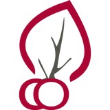 Woodland Bedrooms Inc - Other in Paramount