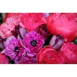 Botany LLC - Florists in Santa Monica