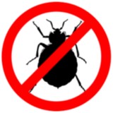 Bugs A To Z Pest Service - Pest Control in Santa Monica
