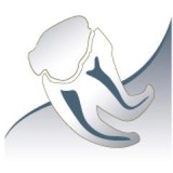 Torrance Endodontix - Dentists in Torrance