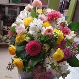 Aphrodite Flowers - Florists in Los Angeles