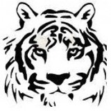 White Tiger King Fu - Martial Arts in Los Angeles