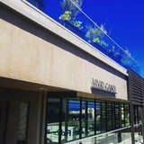 Vivid Candi Inc - Business Consulting in Malibu