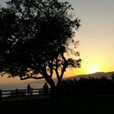 Mark I Brenner Bookkeeping Service - Accountants in Beverly Hills