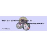 Animal Acupuncture Center - Acupuncture in Los Angeles