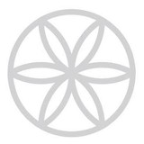 Seed Agency - Marketing in Manhattan Beach