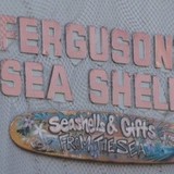 Ferguson Marine Specialties - The Original Seashell Collector - Other in Wilmington