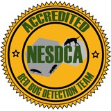 Round the Clock Pest Control - Pest Control in Los Angeles