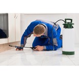 El Redondo Termite Control Inc - Pest Control in Gardena