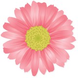 Beauty Cafe - Cafes in Los Angeles