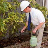 Americana Termite Company - Pest Control in Signal Hill