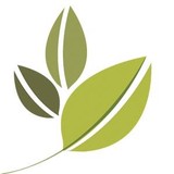 Prototypes - Social Services in Los Angeles