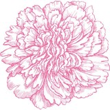 Weddings With Insight - Wedding Planning in Los Angeles