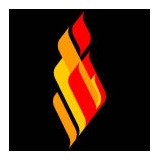 D Burns Design - Web Design & Development in Santa Monica