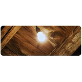 Tanler Termite - Pest Control in Los Angeles