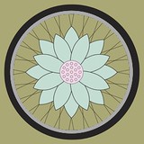 Bicycle Fixation - Manufacturer in Los Angeles