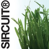 Sovie Skin Care - Other in Hermosa Beach