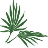Westchester Garden Apartments - Apartments in Los Angeles