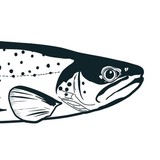 Brown Trout Publishers - Other in El Segundo