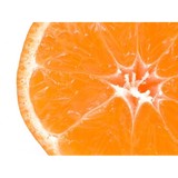 Tangerine Marketing - Marketing in Long Beach
