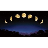 Silver John R PhD - Marriage Counselling & Family Counselling in Los Angeles