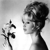Ddg Drop Dead Gorgeous Hair - Other in Beverly Hills