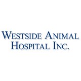 Hagos Coco DVM - Veterinarians/Vets in Lancaster